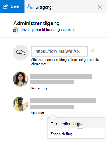 Skjermbilde av Deling-delen i detaljruten for en delt fil.