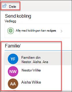 Vinduet for deling i OneDrive