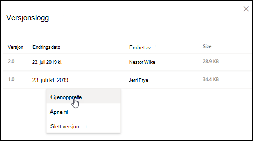 Versjonslogg-ruten