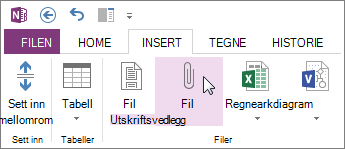 Sette inn en fil i notatene som et vedlegg