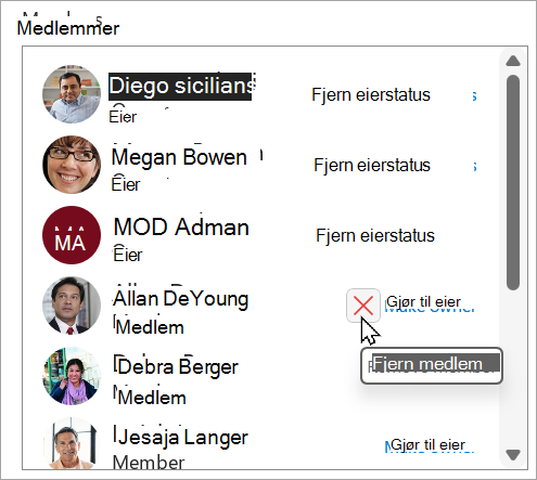 I Medlemmer-boksen kan du fjerne eierstatus, gjøre et medlem til eier eller slette et medlem.