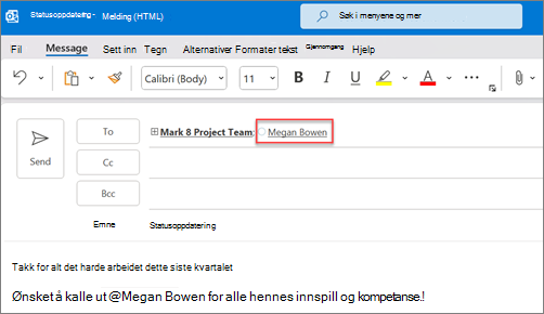 De nevnte personenes fulle navn og e-post vises som standard