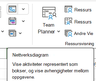Bilde av knappen Nettverksdiagram i kategorien Visning.