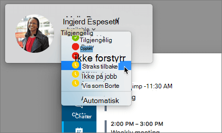 Skjermbilde av stående skype-vindu med dialogboksen for tilstedeværelsestatus valgt.