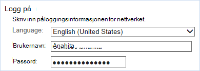 Logg på med påloggingsinformasjonen for nettverket