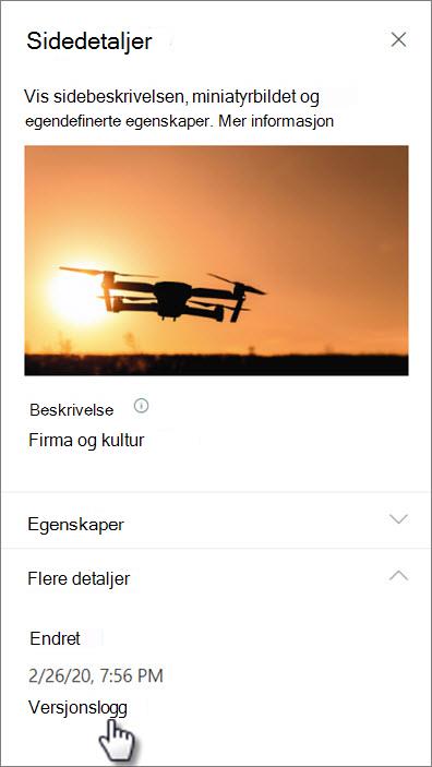 Skjermbilde av koblingen versjonslogg under sidedetaljer