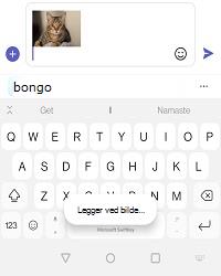 MicrosoftTeams-bilde (13).png