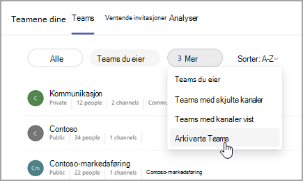 Skjermbilde av Dine team-siden med muligheten til å vise arkiverte team. Velg rullegardinlisten ved siden av Teams du eier for å velge Arkiverte team.