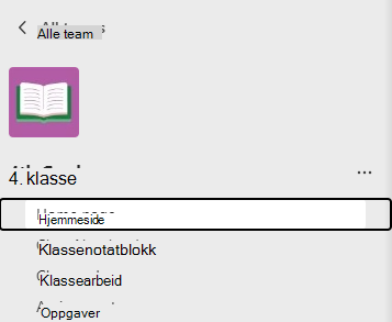 hjemmeside