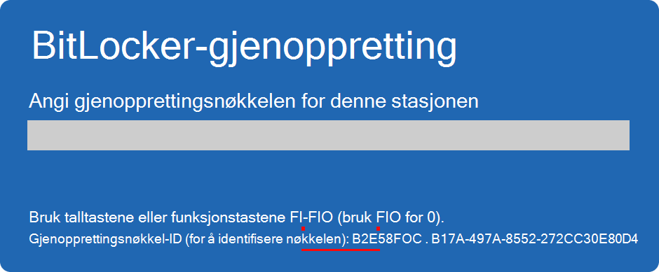 Skjermbilde av BitLocker-gjenopprettingsskjermen som uthever nøkkel-ID-en.