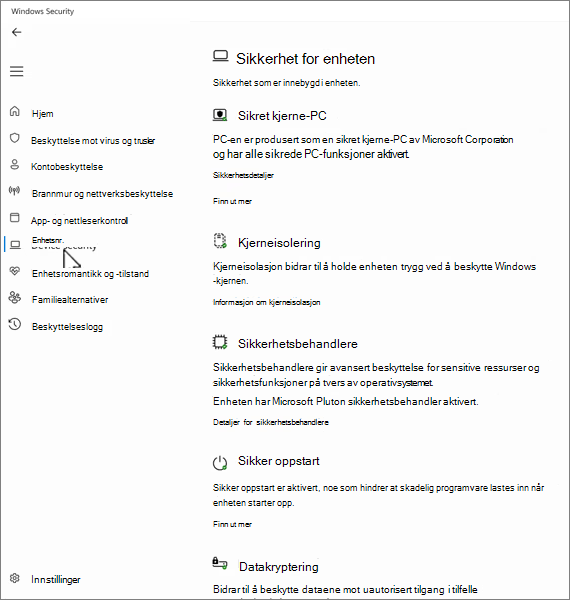 Skjermbilde av enhetens sikkerhetsskjerm i Windows Sikkerhet-appen.