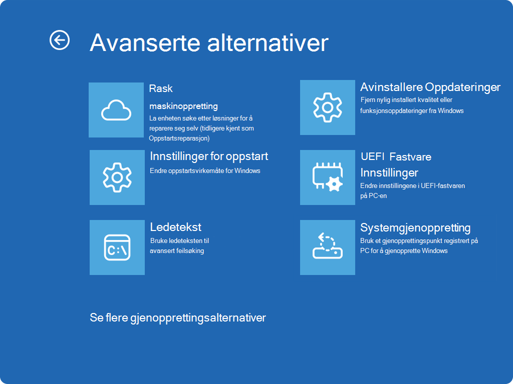Skjermbilde av Windows RE som viser avanserte alternativer og den nye QMR-oppføringen.