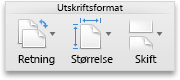 Fanen Word-oppsett, Utskriftsformat-gruppen
