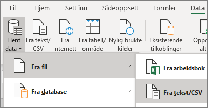 Alternativet Fra tekst er markert på Data-fanen.