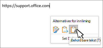 Menyen Alternativer for innliming med markøren over det tredje alternativet Behold bare tekst. De to første alternativene for innliming er Behold kildeformatering og Flett formatering.
