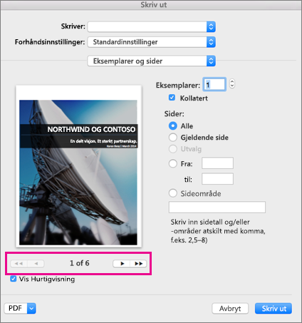 Dialogboksen Skriv ut