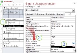 Een pagina-einde toevoegen aan een gegroepeerd rapport