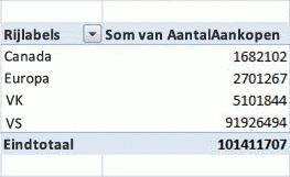 Voorbeeld van een draaitabel