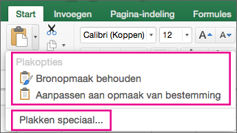 Menu Plakken met opties en Plakken speciaal