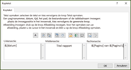 Dialoogvenster Pagina-instelling voor aangepaste koptekst