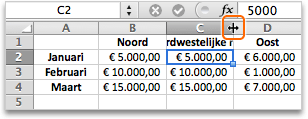 Plaats de aanwijzer tussen de kolomkop C en D en dubbelklik vervolgens
