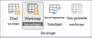 Werkmap beveiligen gemarkeerd