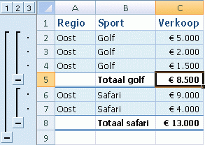 Example of automatic subtotals
