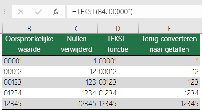 Voorbeelden van het gebruik van TEKST om voorloopnullen op te maken. =TEKST(A2,00000)