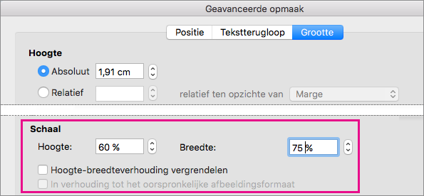Op het tabblad Grootte, in het vak Geavanceerde opmaak, zijn de opties voor Schaal gemarkeerd.