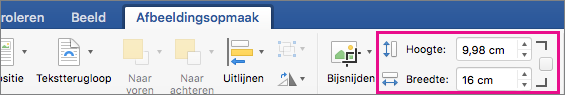 Tabblad Afbeeldingsopmaak, met de vakjes Hoogte en Breedte gemarkeerd.