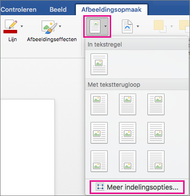 Op het tabblad Afbeeldingsopmaak zijn Positie en Meer indelingsopties gemarkeerd.