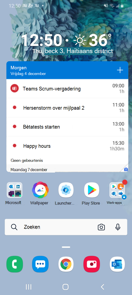 voorbeeld van werkwidget