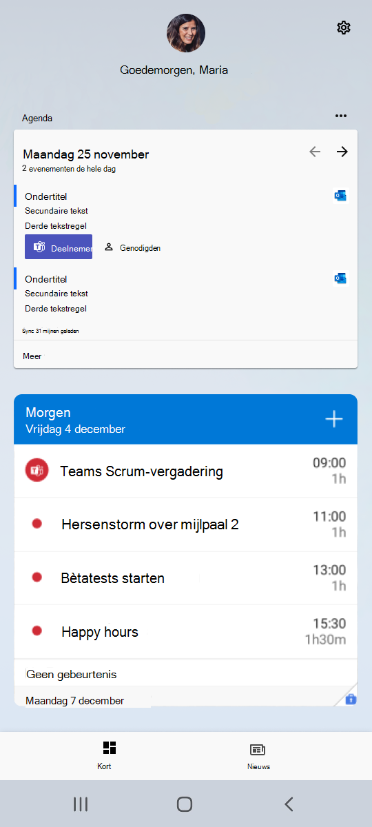 voorbeeld van werkwidget