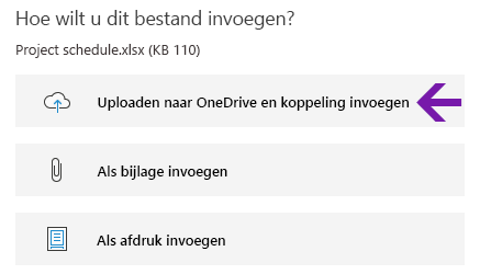 Bestandsinvoegopties in OneNote voor Windows 10