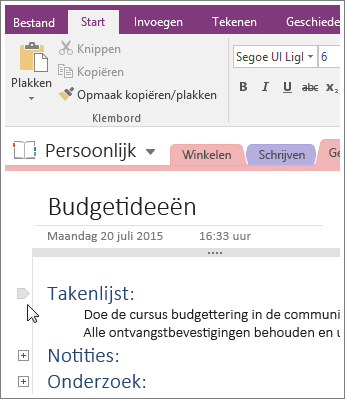 Schermafbeelding van het samenvouwen van een overzicht in OneNote 2016.