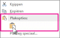 Klik met de rechtermuisknop en kies Plakken