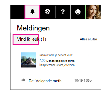 Meldingsvenster geeft aan wie een bericht leuk vindt