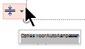 Het hulpprogramma Opties voor AutoAanpassen wordt weergegeven wanneer een tijdelijke aanduiding is gevuld met tekst