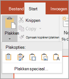 Selecteer Plakken speciaal