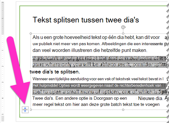 Het hulpprogramma Opties voor AutoAanpassen wordt weergegeven in de linkerbenedenhoek van het vak met tijdelijke aanduidingen