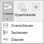 Toont verschillende typen zoomen die kunnen worden geselecteerd wanneer u gaat naar Zoomen invoegen > : Overzichtszoom, Diazoom en Sectiezoom.