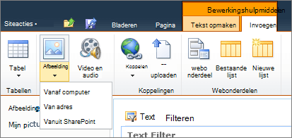 Klik op de knop Afbeelding op het lint en selecteer een computer, adres of SharePoint.