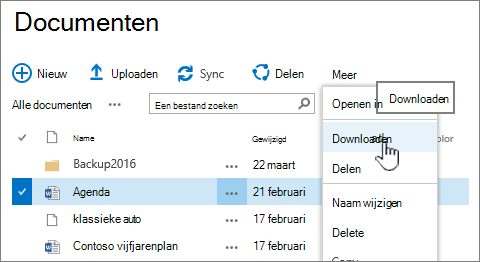 File download option