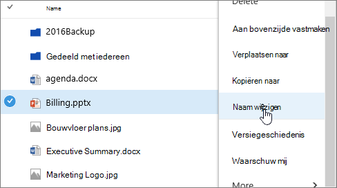 Beletseltekenmenu met Naam wijzigen gemarkeerd