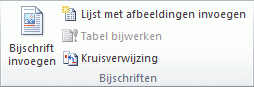 Office 2010-lint