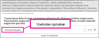 Knop Voetnoten opmaken in het gebied voor het bewerken van voetnoten in Word Online