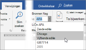 Kies op het tabblad Verwijzingen een bronvermeldingsstijl in de lijst Stijlen
