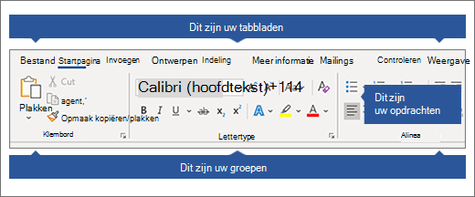 Lint met tabbladen, groepen en opdrachten uitgelicht.