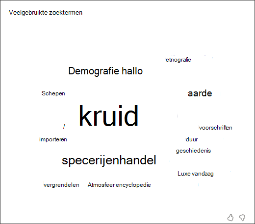 schermopname van een woordwolk met de meest gebruikte termen die studenten in zoekcoach hebben ingevuld