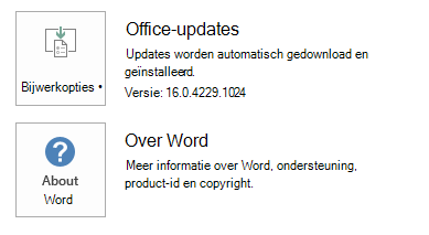 De schermafbeelding voor Klik-en-Klaar in Word